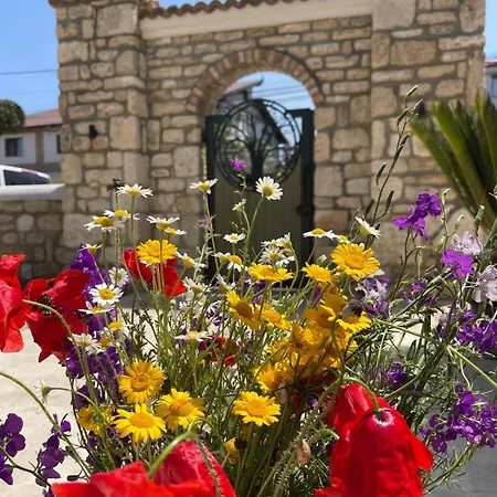 Escape 3* Vama Veche